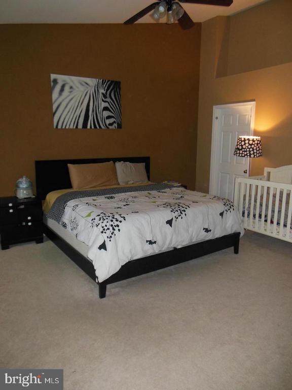 Building Photo - 25838 Norrington Square