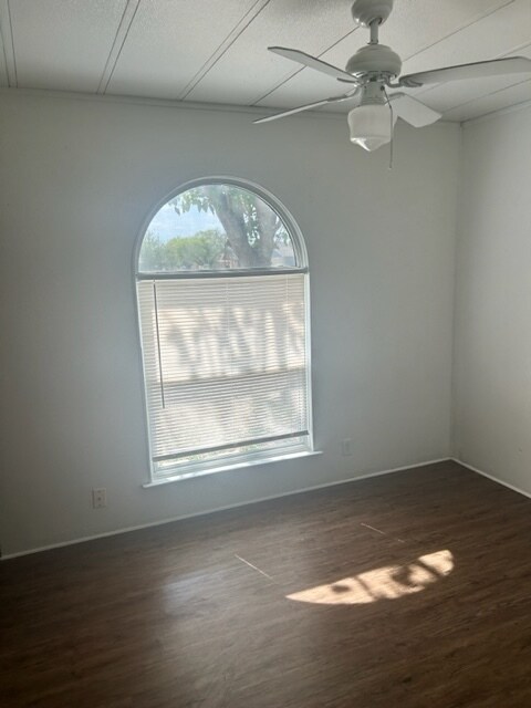 Building Photo - 1509 Elyse Dr