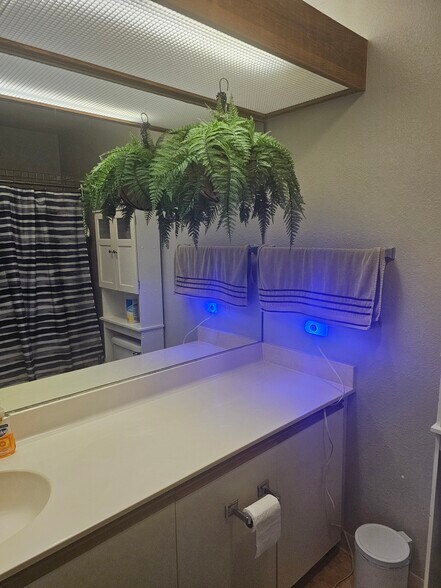 Building Photo - 46-051 Konohiki St