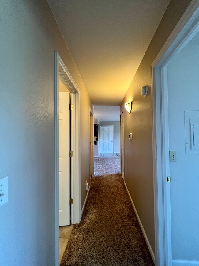 Building Photo - 4670 White Rock Cir