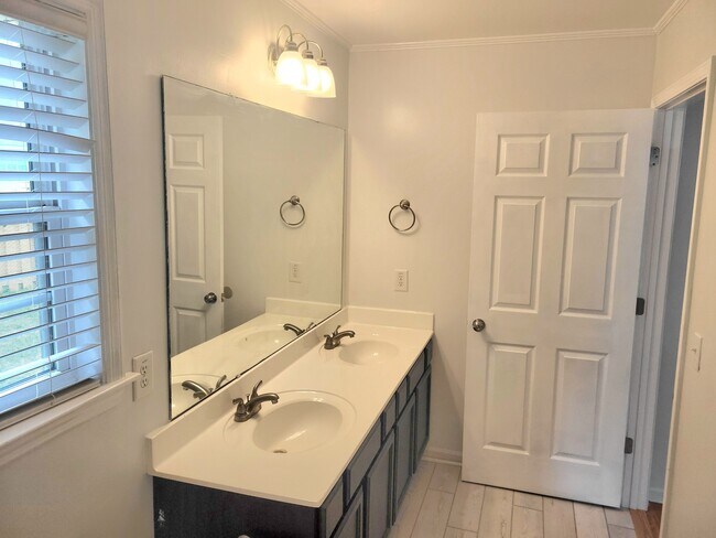 Building Photo - 1003 Summerfield Ct