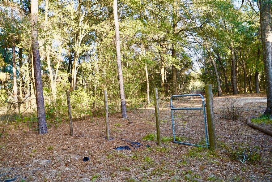 Building Photo - 29205 Saddle Oaks Ln