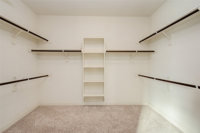 Building Photo - 13123 Hazelwood Hollow Dr