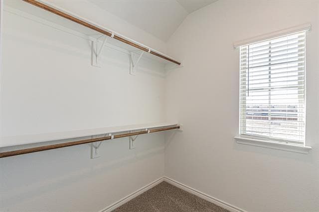 Building Photo - 736 Thorn Crk Dr