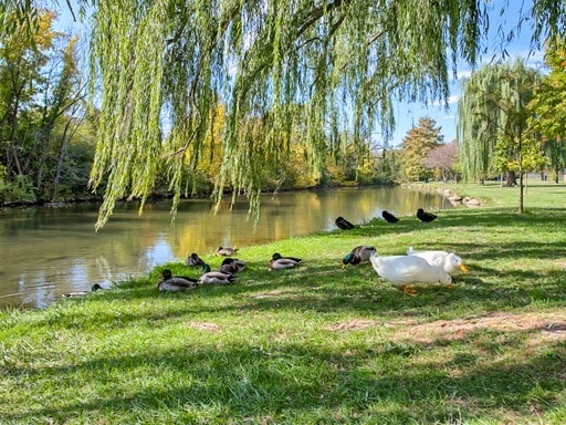 Building Photo - 104 W 3rd St