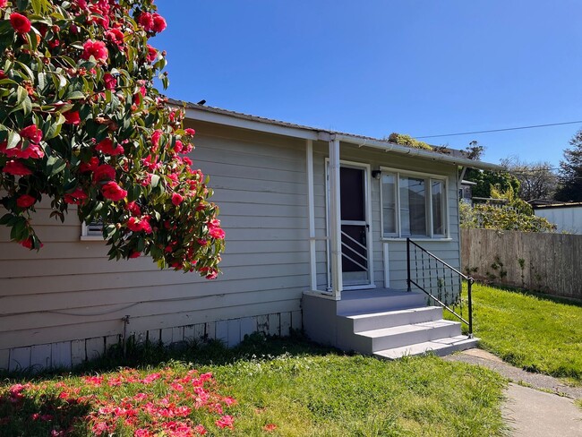 Building Photo - Cat-friendly cottage with a fully fenced y...