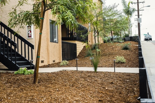 Mesquite Trees and California Native Plants - 910 East Grand Ave.