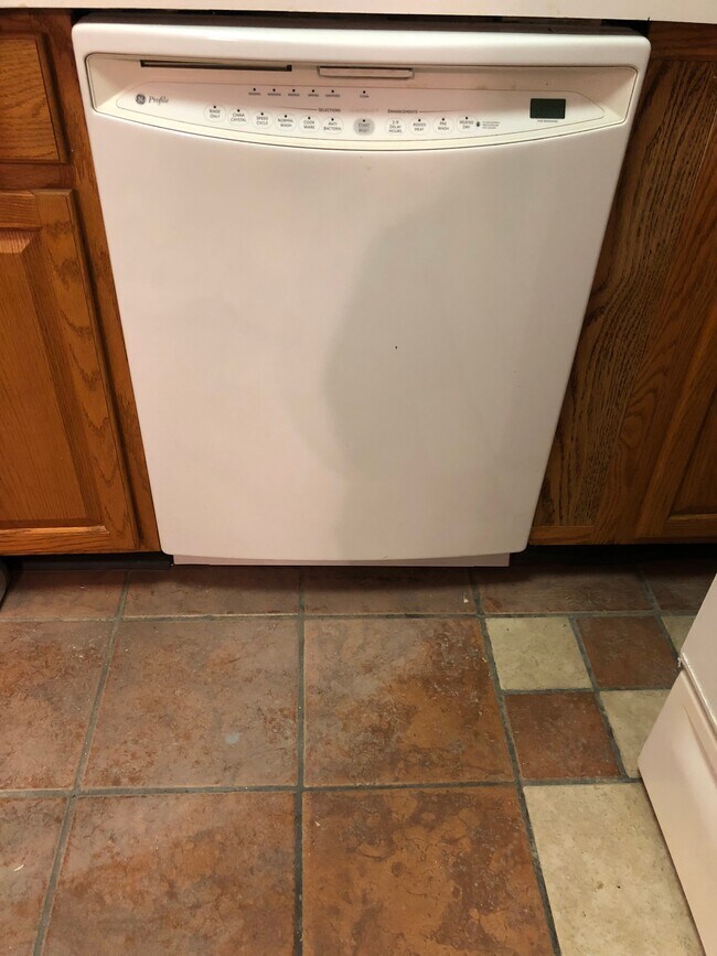 Dishwasher - 12 Poplar St