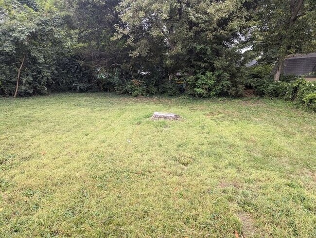 Building Photo - Brand New Inside and Out, Black Stainless New Appliances, Washer Dryer Included!