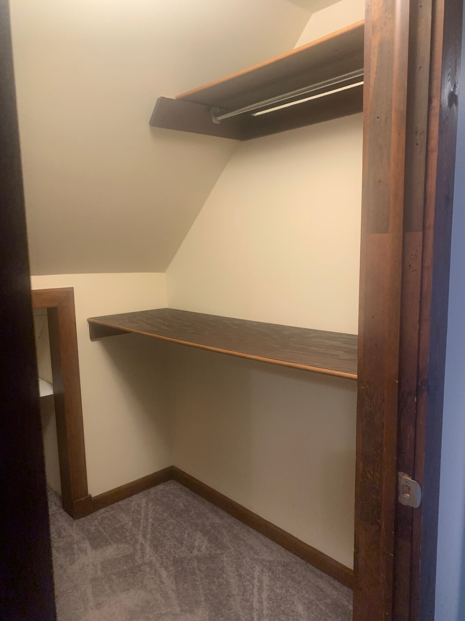 Walk-In Closet - 219 E End Ave