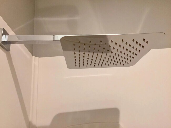 primary shower - 2051 Park Ave