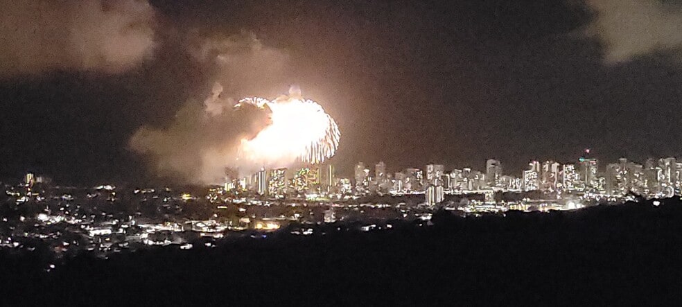 Building Photo - 2158 Halekoa Dr