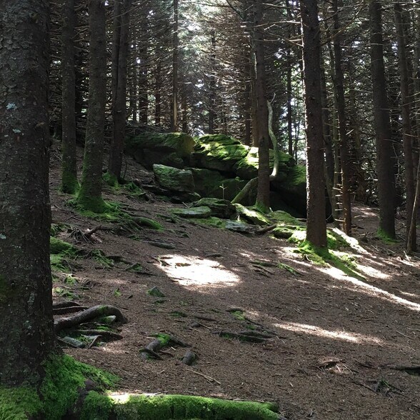 Building Photo - 3908 Old Jonesboro Rd