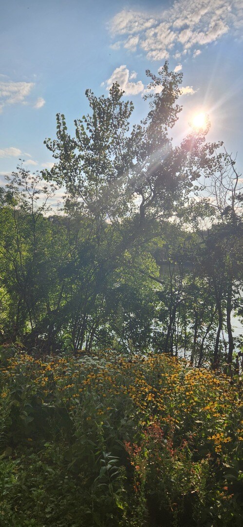 Building Photo - 5534 E Lake Dr