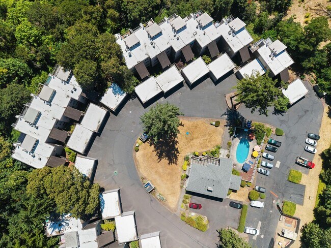 Building Photo - Top-Floor Stunner with Views – Fully Remod...