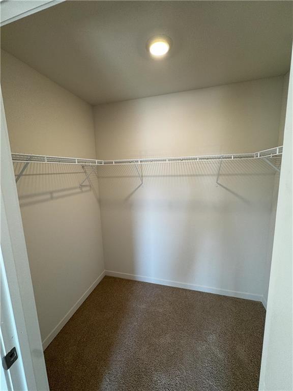 Building Photo - Karthik-Anu Spring Hill House