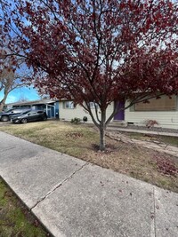 Building Photo - Available Large 3 Bedroom 1 Bath with Conv...