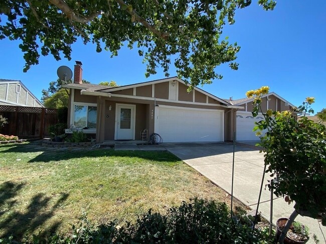 Primary Photo - 4085 Bristlecone Way