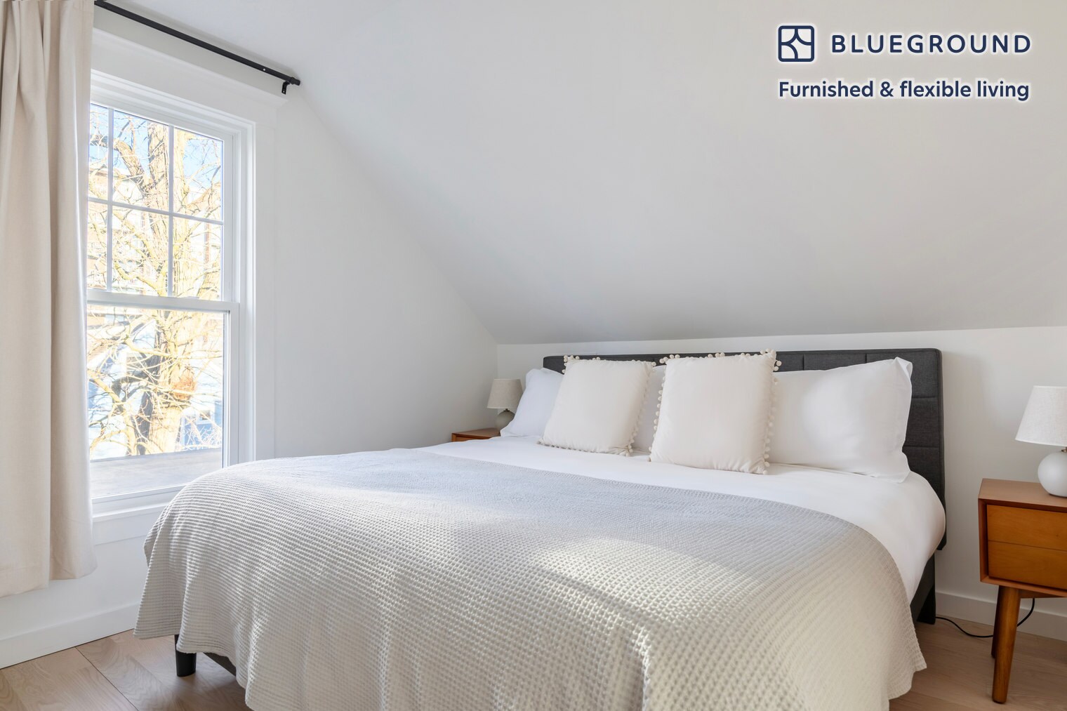 Building Photo - 50 Kinnaird St