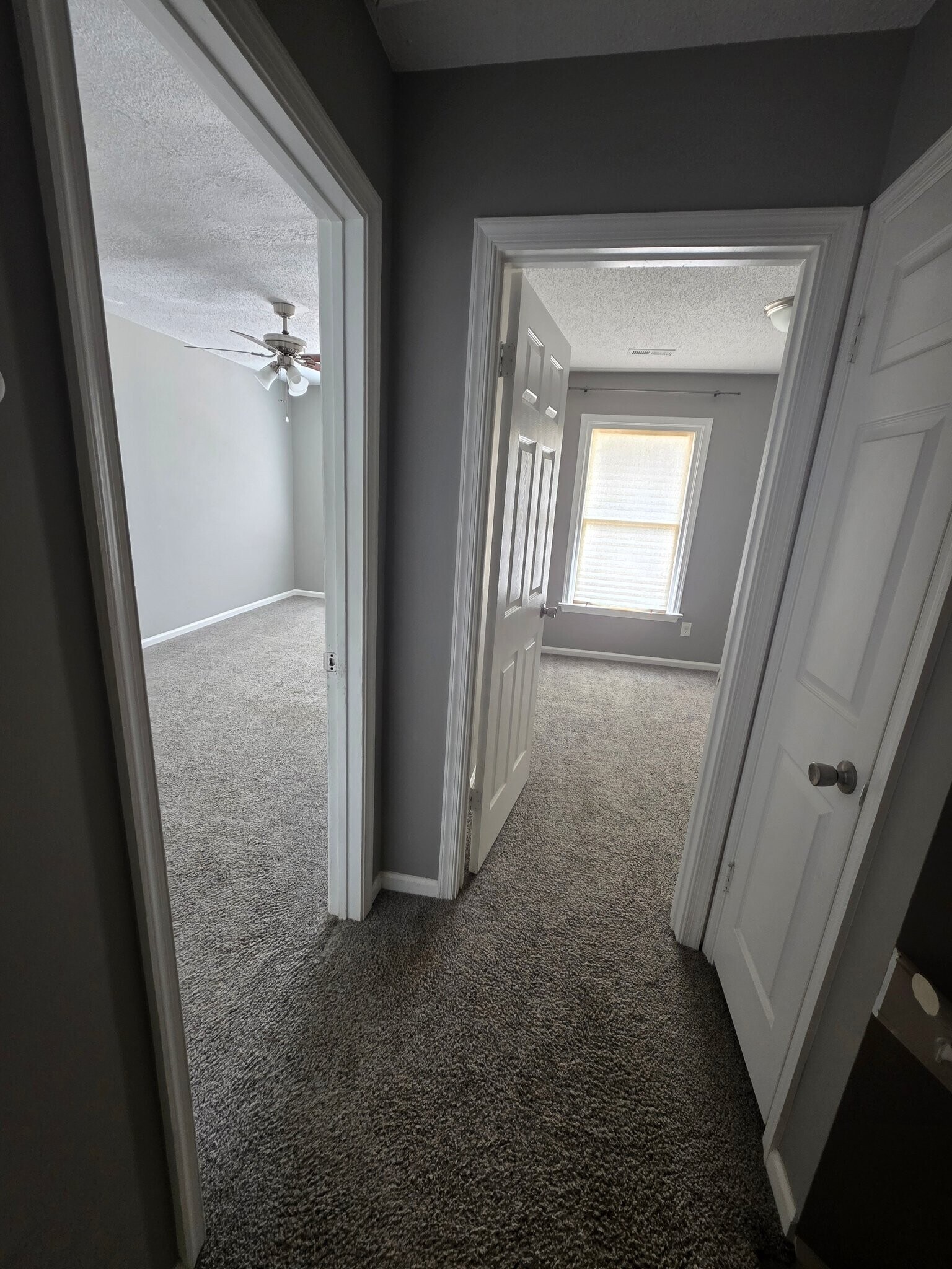 Building Photo - 4306 Thomas Ln