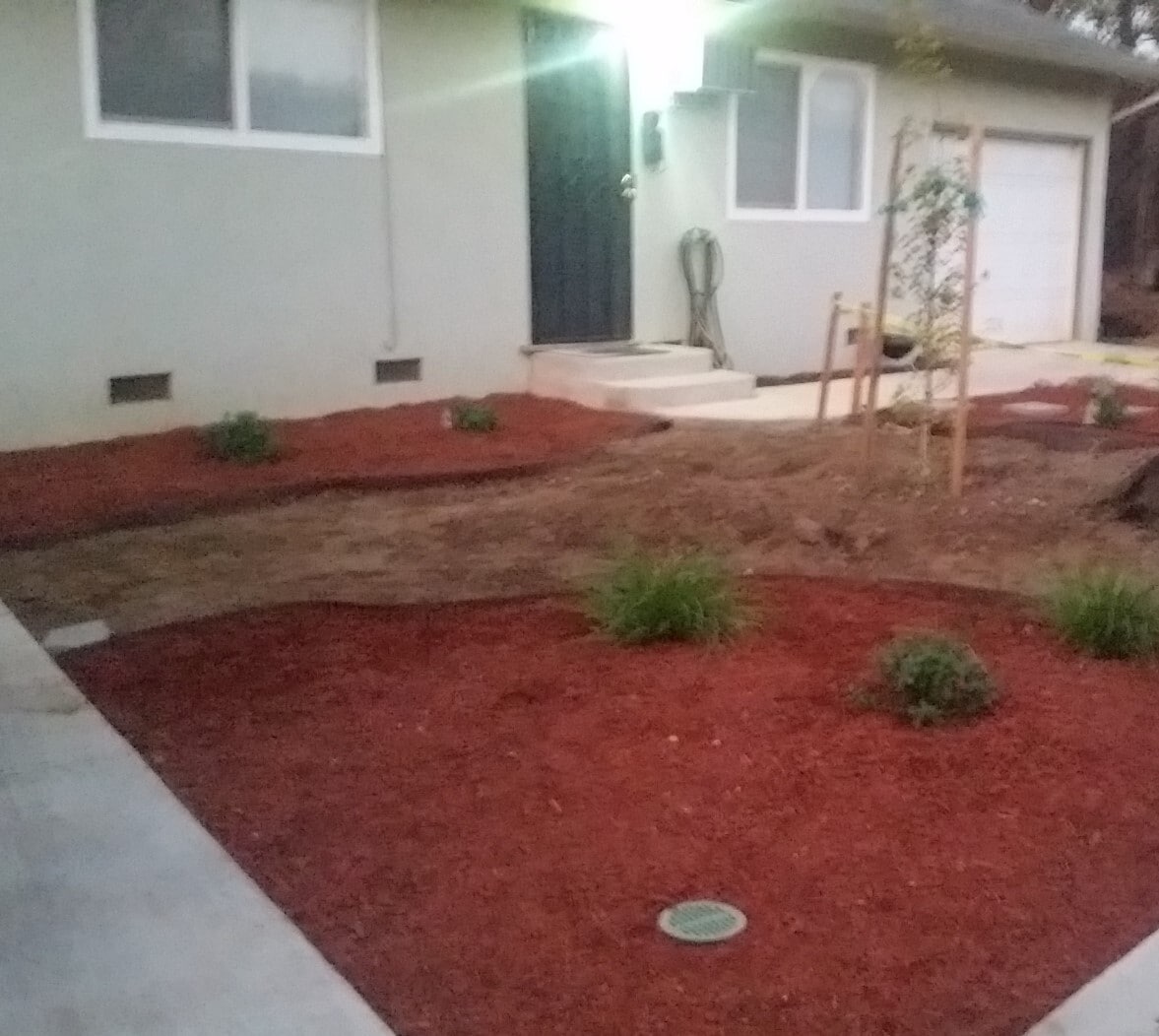 landscape in front of duplex - 9662 Eisenbeisz Street Unit A