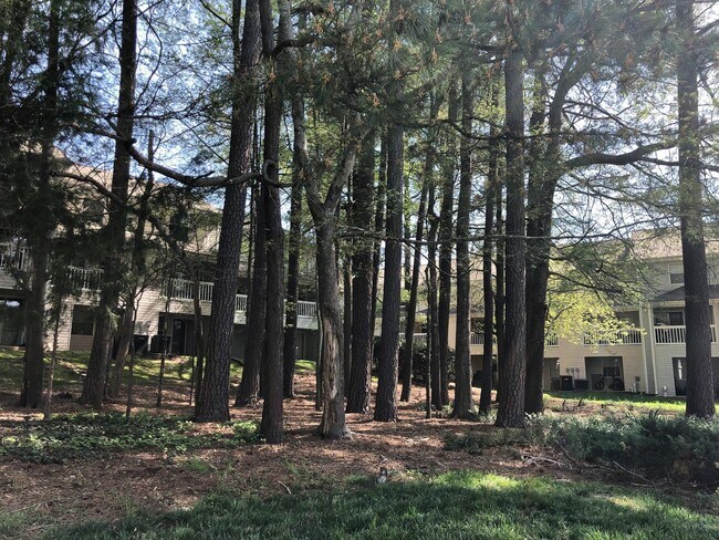 Building Photo - Fantastic Location! Chapel Hill 2 Bedroom ...