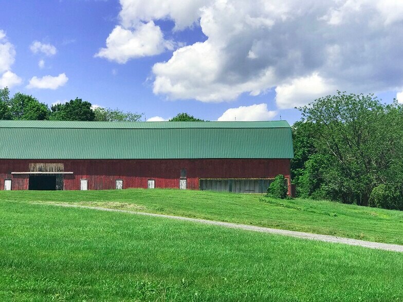 Large yard - 745 Bagdad Rd