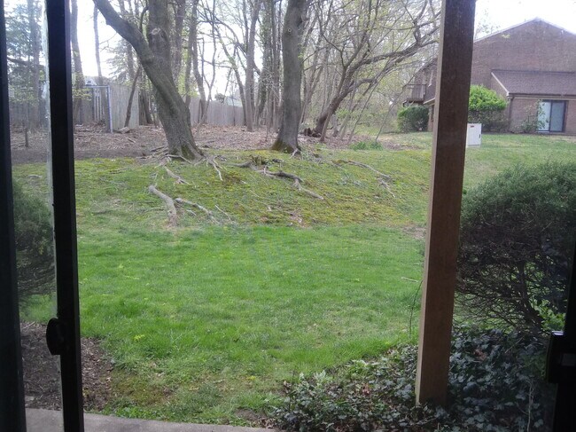 Beautiful view from the living room - 813 Meadow Woods Ln