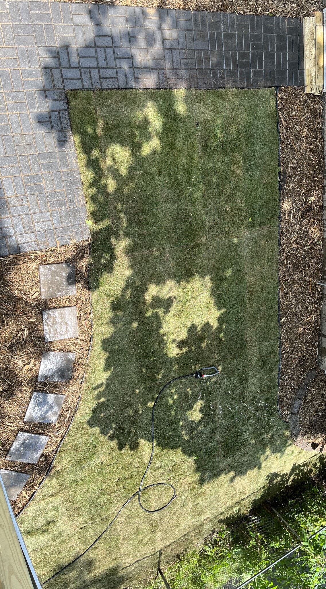 Back Yard - 1054 Desoto St