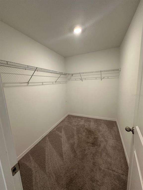 Building Photo - 118 Mandovi St