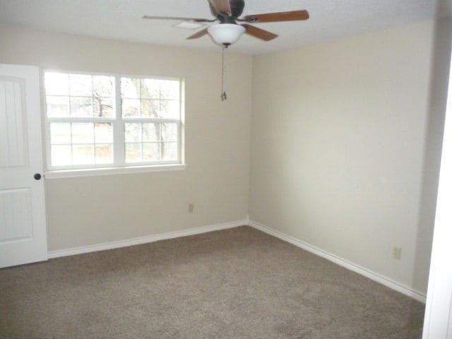 Building Photo - Newly Remodeled