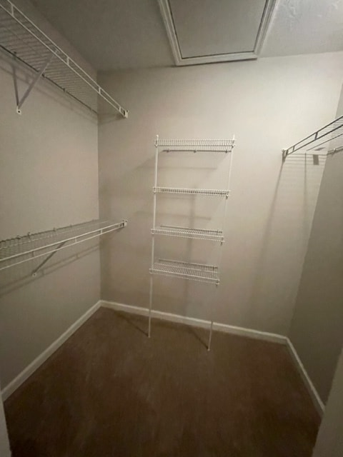 Building Photo - 504 Edgecliff Ln