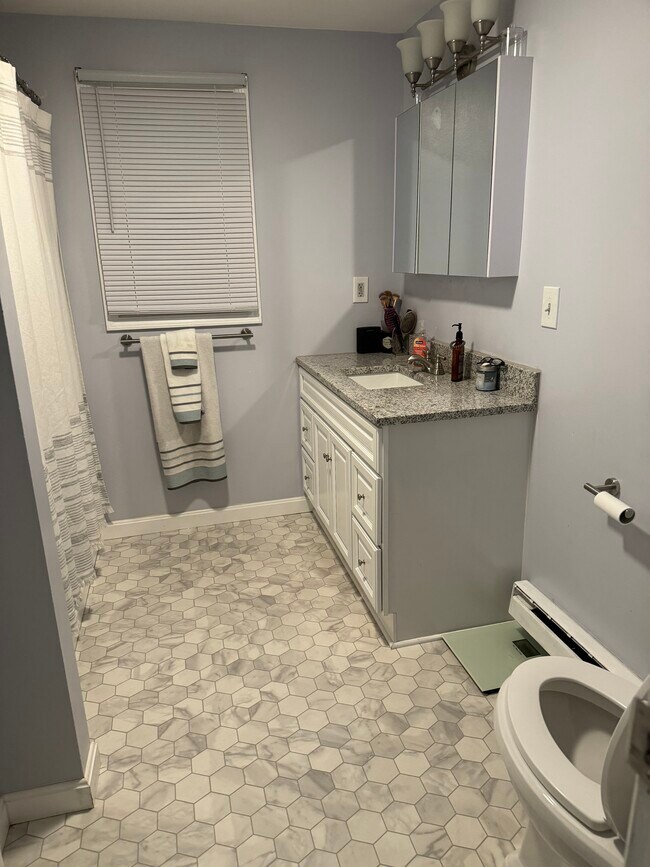 Full bathroom shower/tub and linen closet - 35 Genessee St