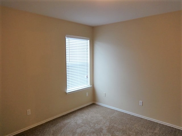 Building Photo - 317 Phillips St