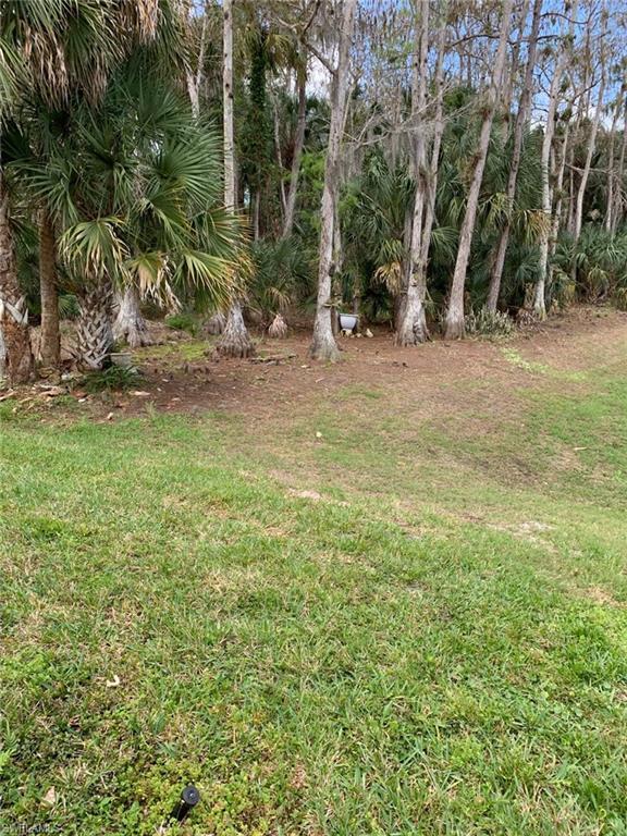 Building Photo - 28720 Sweet Bay Ln