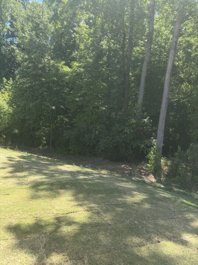 Building Photo - New Construction 5BR/3BA Home in Gastonia!