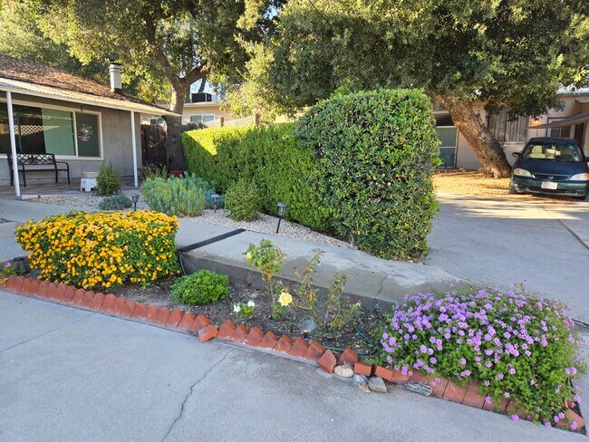 Front yard - 3439 1/2 Altura Ave