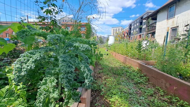 Building Photo - 612