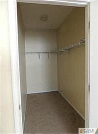 Building Photo - 1137 Staats Ct