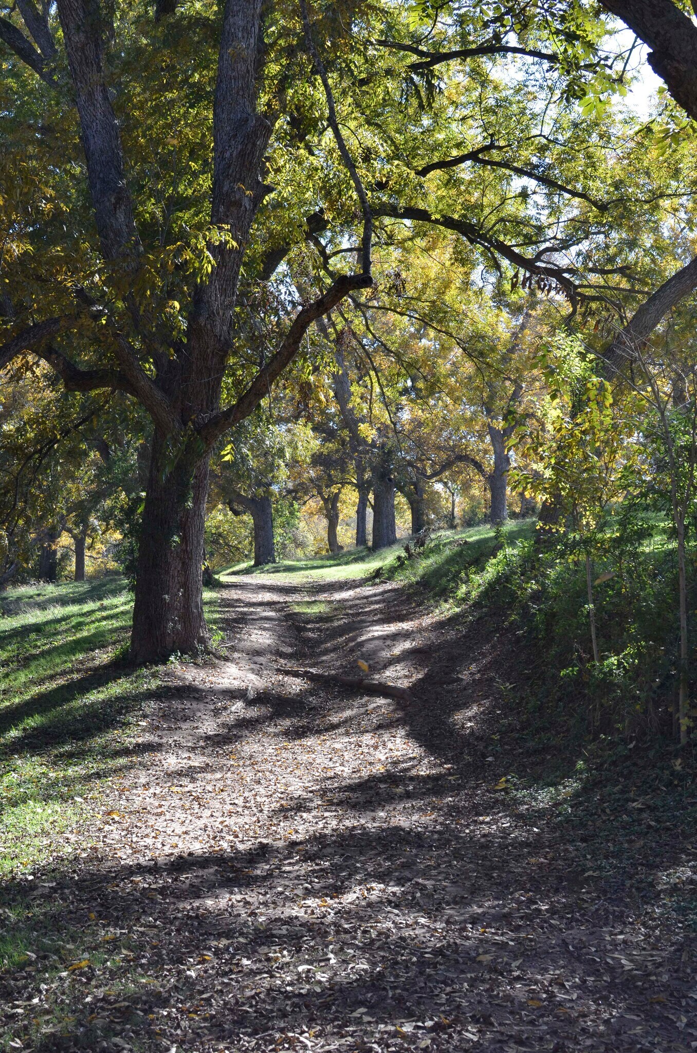 Building Photo - 9810 Lake Ridge Dr