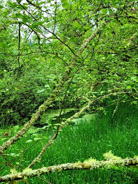 Building Photo - 11071 SE 242nd Ave