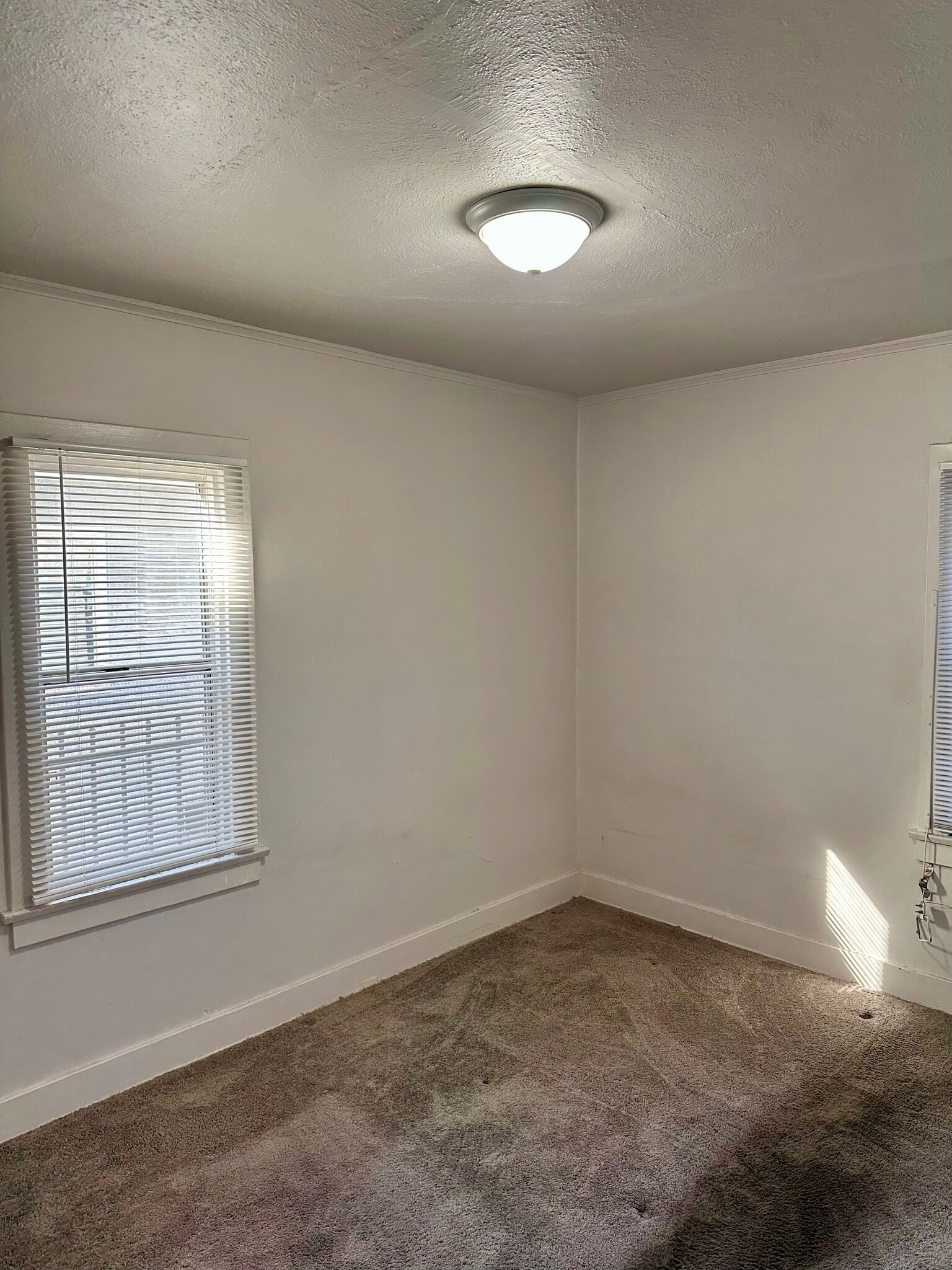 Building Photo - 149 W 41st Pl
