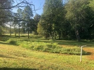 Building Photo - 11 Menefee Rd