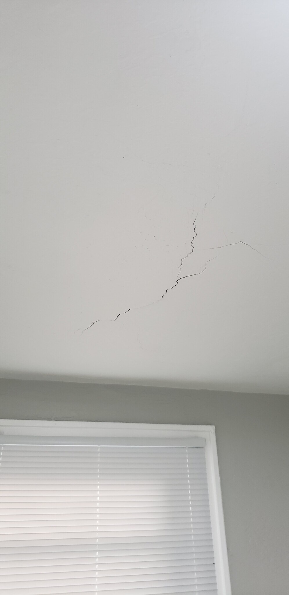 Building Photo - 535 Shelbourne Ave