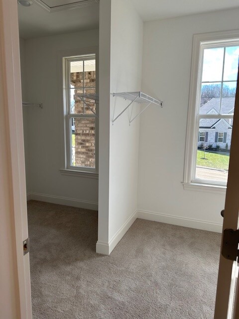 Building Photo - 5308 Eagle Trl Ct