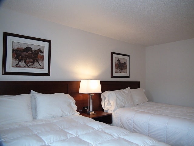 Guest2 - 14362 Daggett Pine Rd