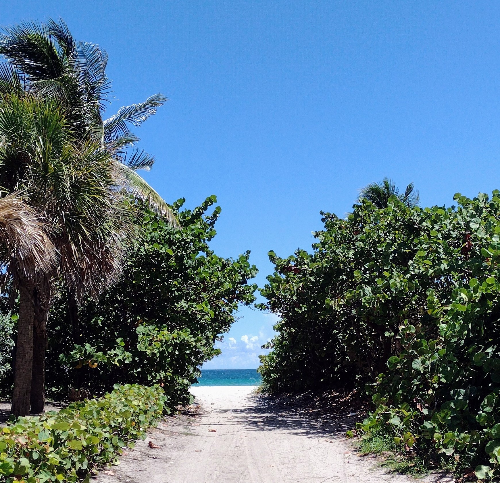 Beach access - 2401 S Ocean Dr