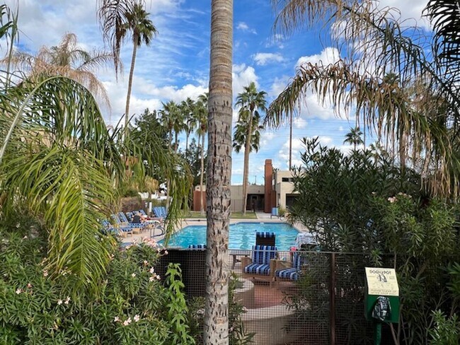 Building Photo - Scottsdale Condo
