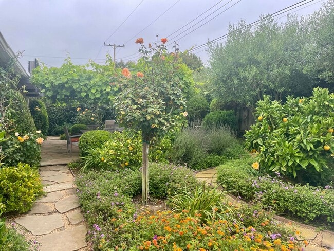 Building Photo - Carpinteria 3 Bedroom House - Available Au...
