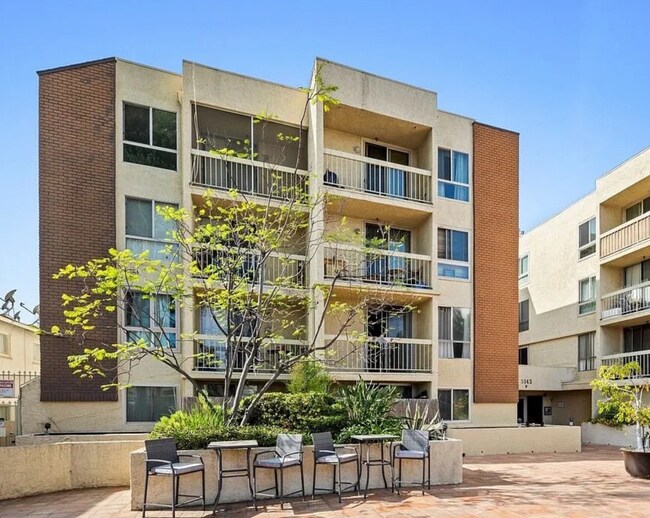 Building Photo - Beautiful 1 Bed /1 Bath with Hardwood Floors, Central AC, Stainless Steel Appliances, Balcony, Gy...